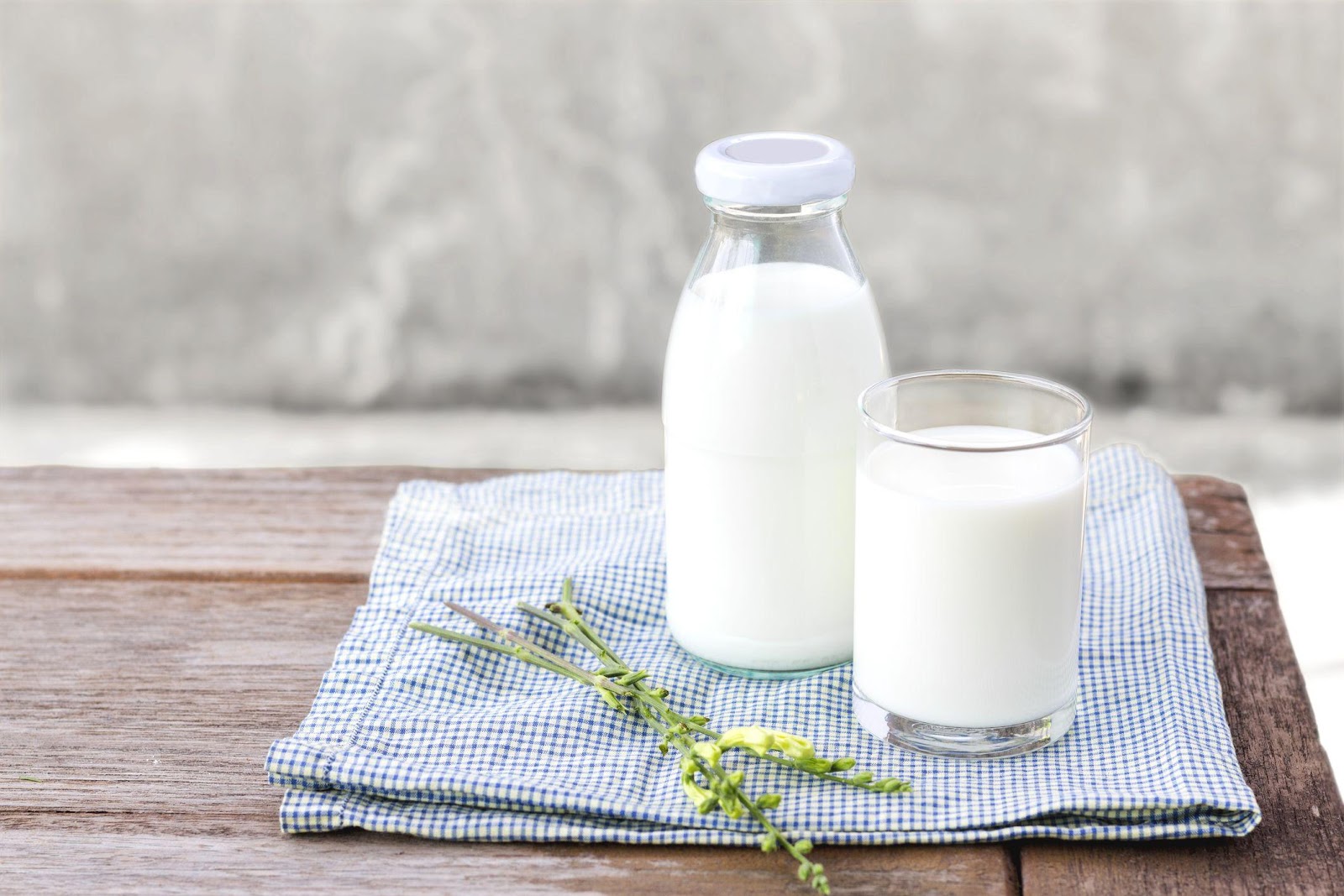 Susu yang bagus untuk anak